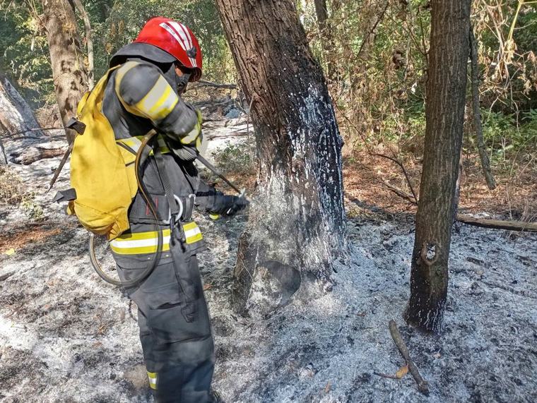 Pompierii români îi sprijină pe cei bulgari în stingerea incendiilor de pe Insula Boril