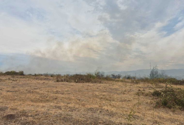 Incendii de pădure în Bihor și Vâlcea. Intervenții dificile din cauza vântului puternic