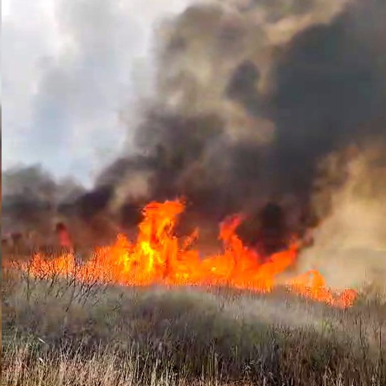 50 de hectare de vegetaţie uscată, distruse într-un incendiu produs într-o localitate din Vaslui