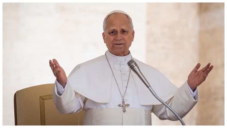 „Prețuiți Pământul”. Papa Leon avertizează asupra „cercului vicios” al războaielor și distrugerii mediului