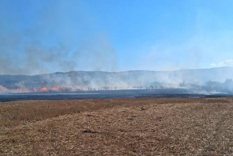 Incendiu de vegetație uscată în județul Vaslui. Au ars aproximativ 50 de hectare
