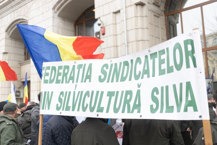 Forestry unions are challenging the reorganization of Romsilva