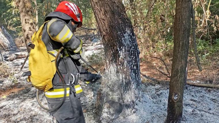Pompierii români îi sprijină pe cei bulgari în stingerea incendiilor de pe Insula Boril