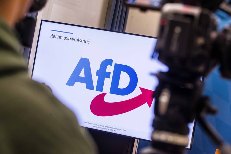 Școli segregate, deportări, „valori prusace” și o odă adusă celui de-al Doilea Reich: planul AfD pentru preluarea puterii în Germania