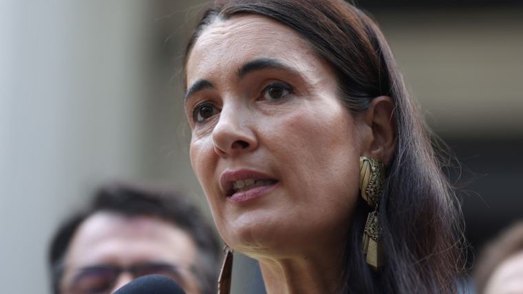 PSD, mesaj ironic după condamnarea lui Clotilde Armand: „Avem o nouă specie de penali: «penalii buni din USR»”
